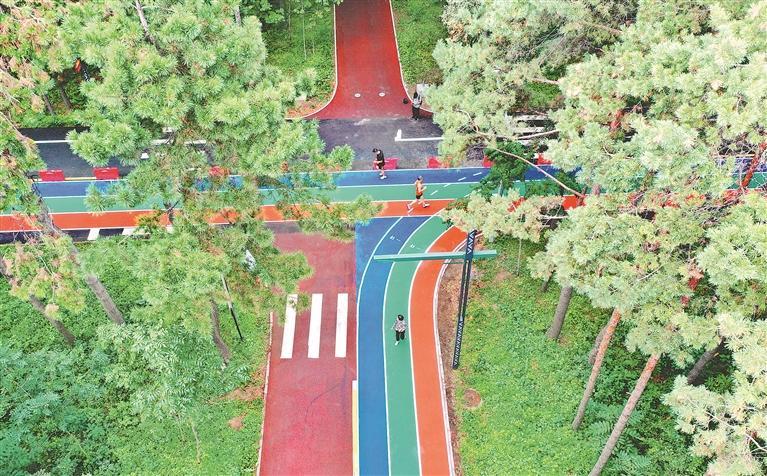 跑道组成