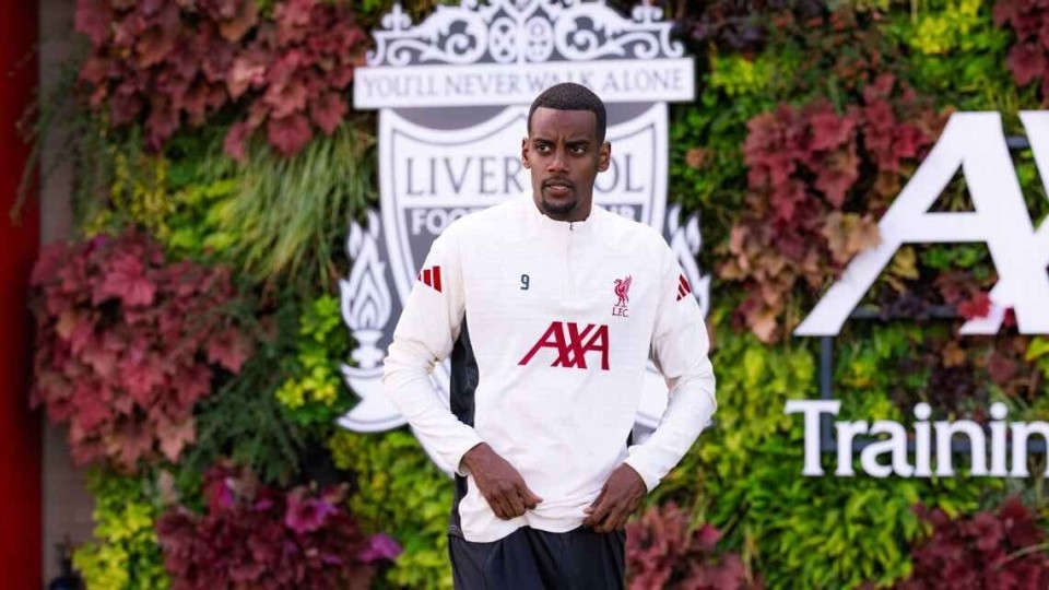 他希望球员, 况时, 锋之一 他希望球员, 况时, 锋之一